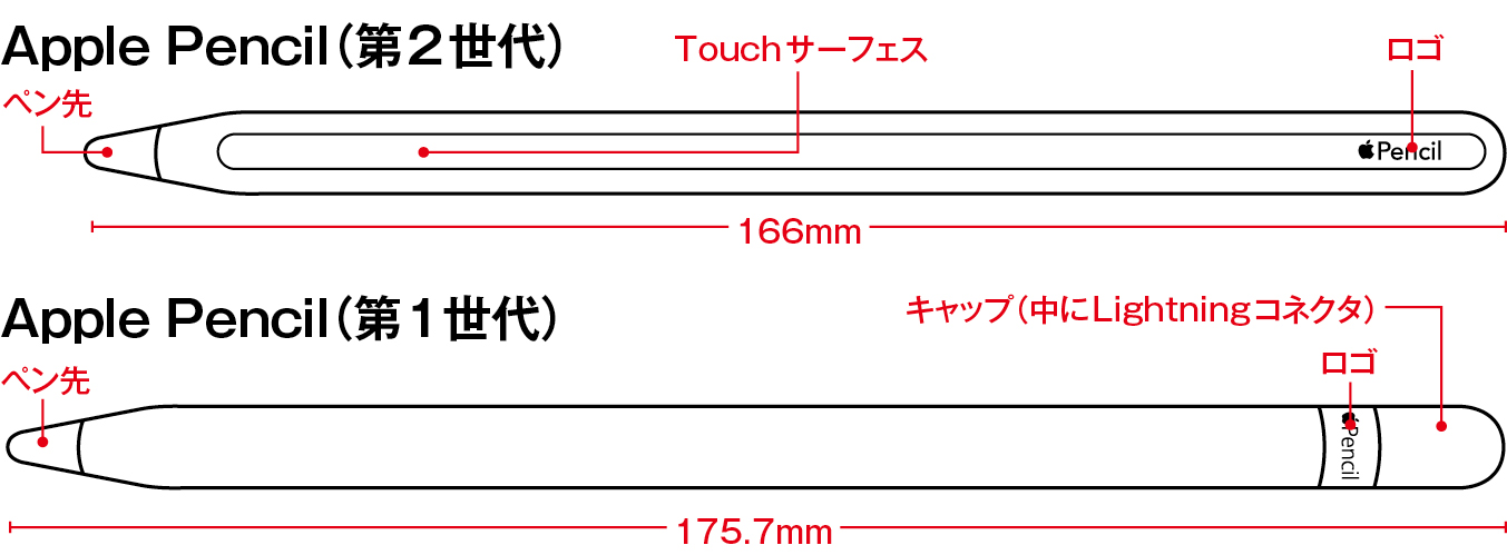 Apple Pencilクイックガイド | Mac Fan Portal