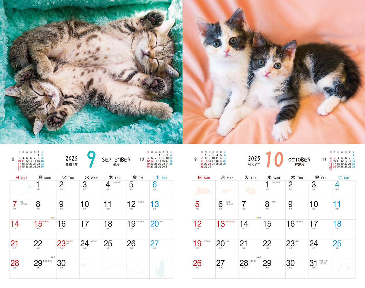 ふわふわこにゃんこ - インプレスブックス