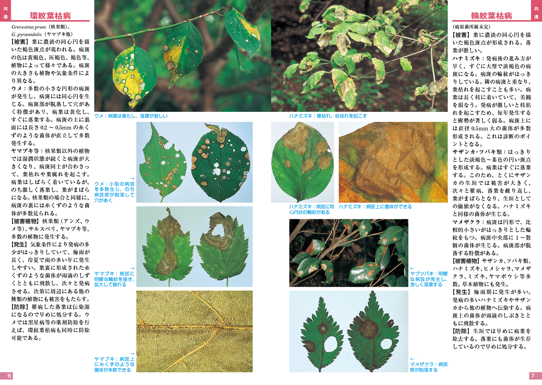 防除ハンドブック 花の病害虫 - 全国農村教育協会 出版サイト