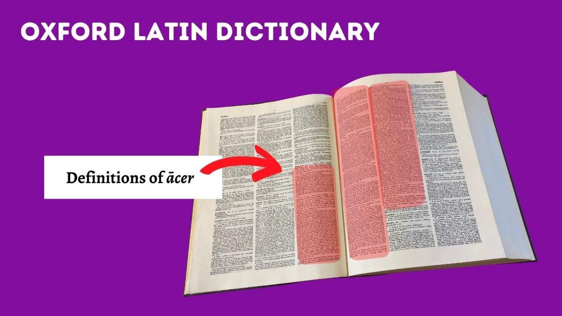 Best Latin Dictionaries: 7 Top Picks from a Latin Professor