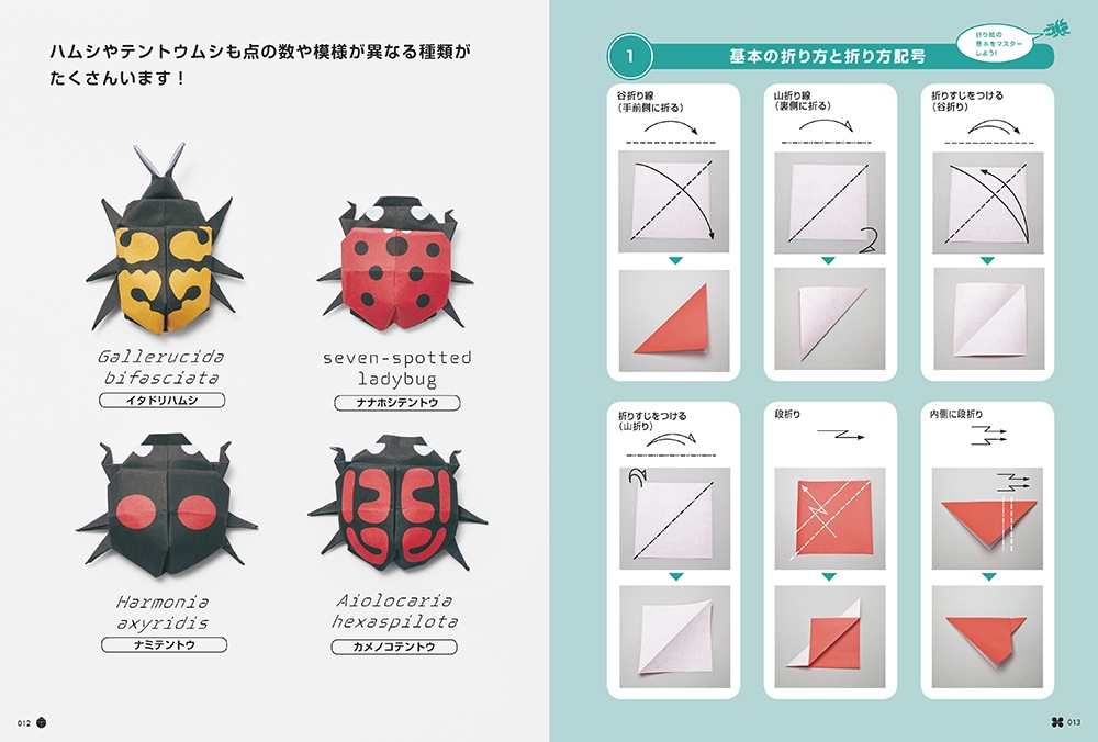 切らずに1枚で折る 折り紙昆虫記』発売｜株式会社エムディエヌ