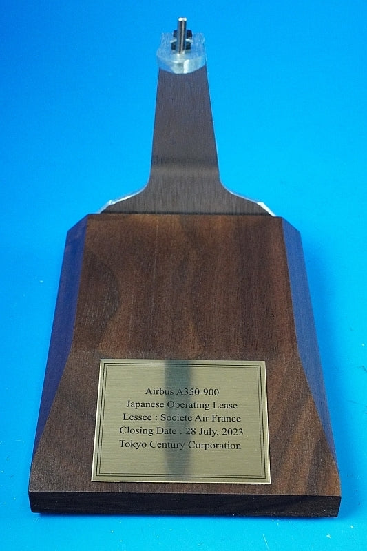 1:200 A350-900 Air France F-HUVA Pacmin airplane model – Boost