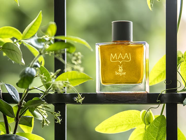 MAAI – Bogue Profumo