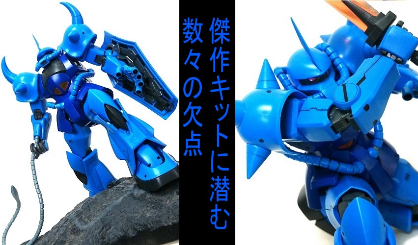 BANDAI MG グフver2.0＆MG アッガイ セット販売 BANDAI MG グフver2