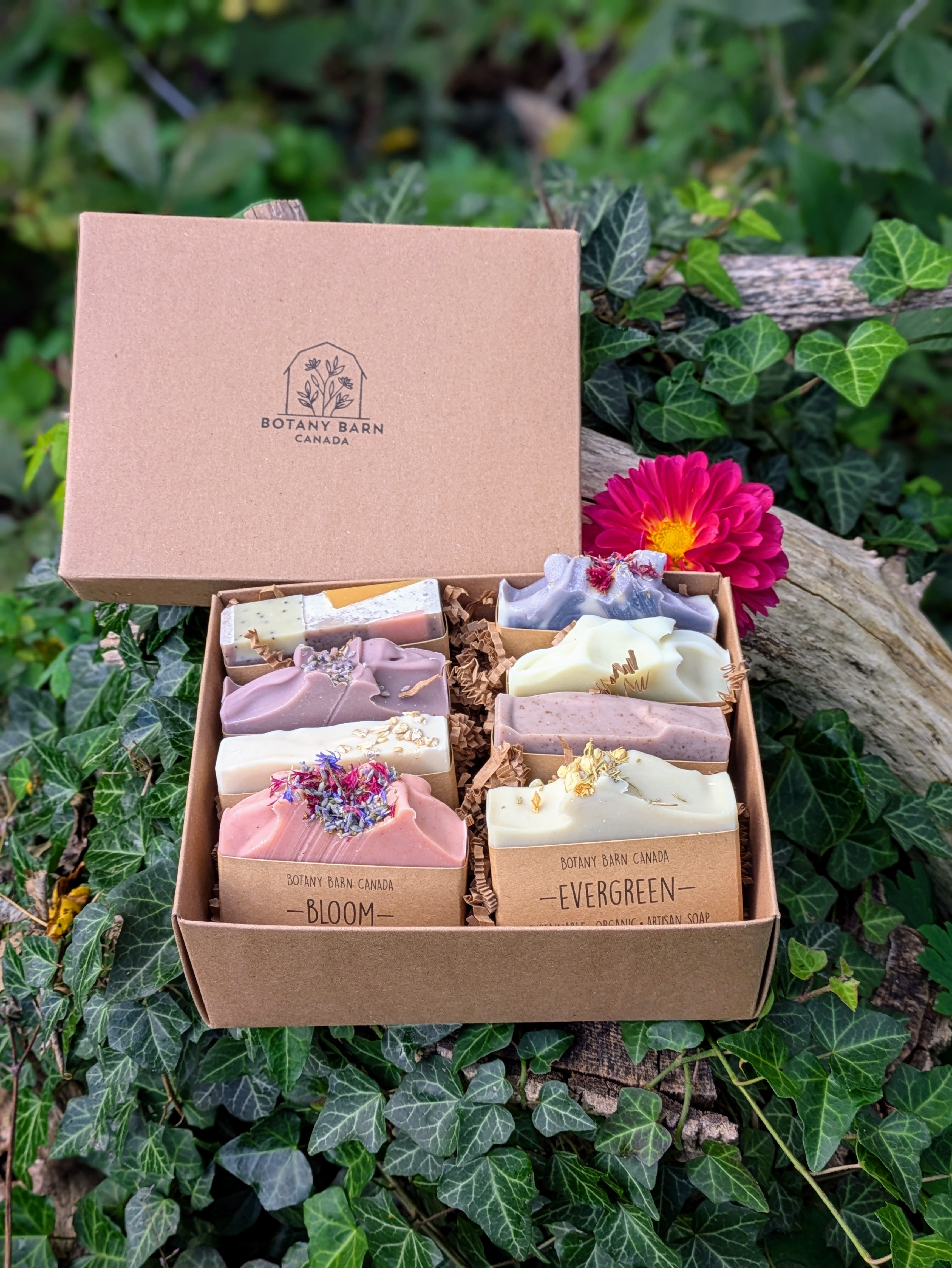 Natural Soaps | Gift Set of Eight Organic Artisan Soaps – Botany
