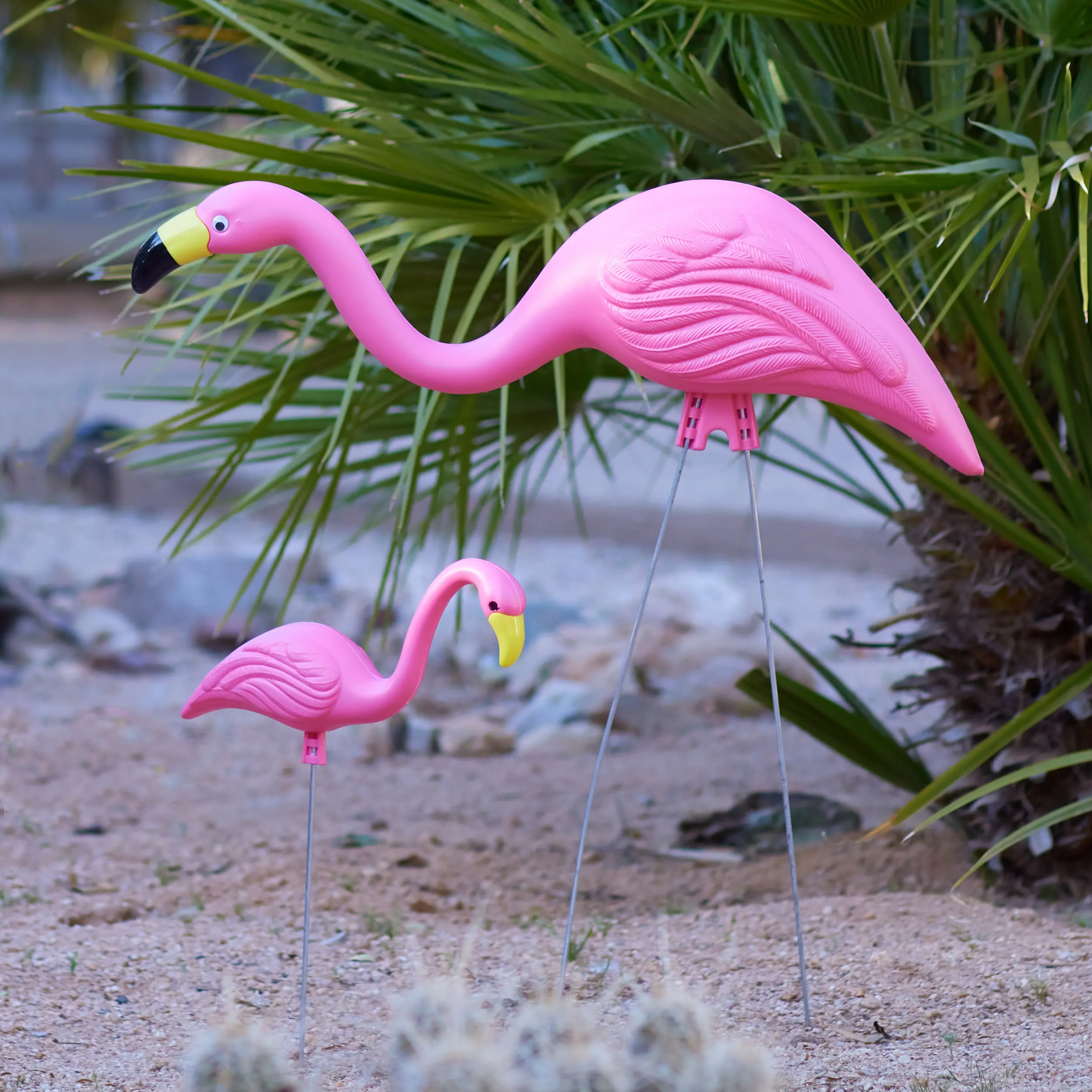 Flamingo Collection - Bloem Living