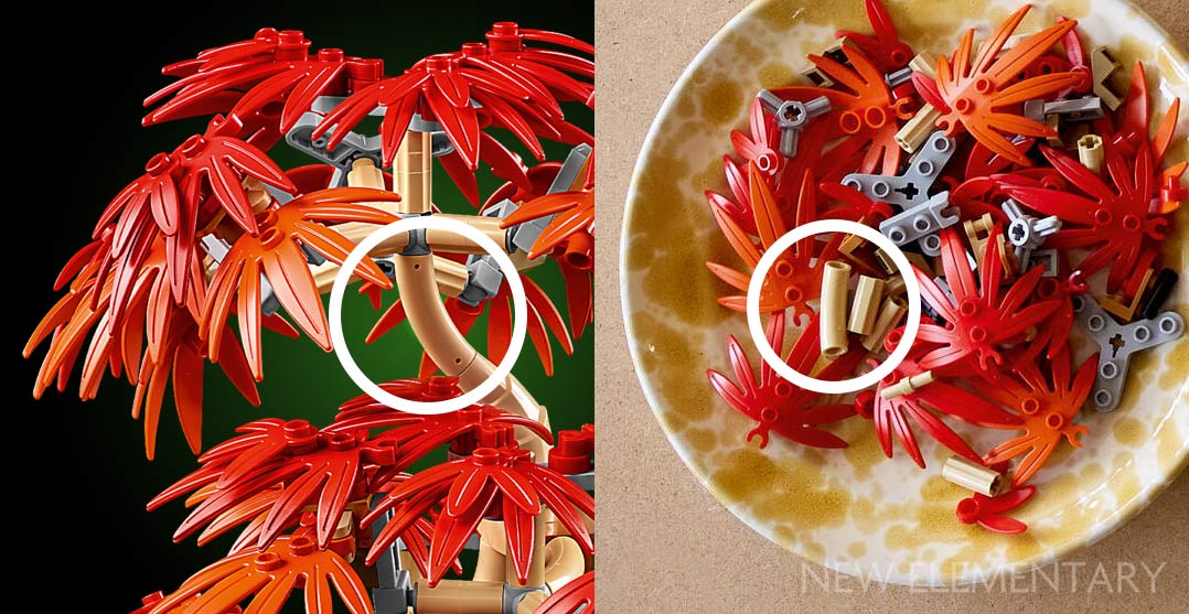 Revealed: 10348 Japanese Red Maple Bonsai Tree and 10349 Happy