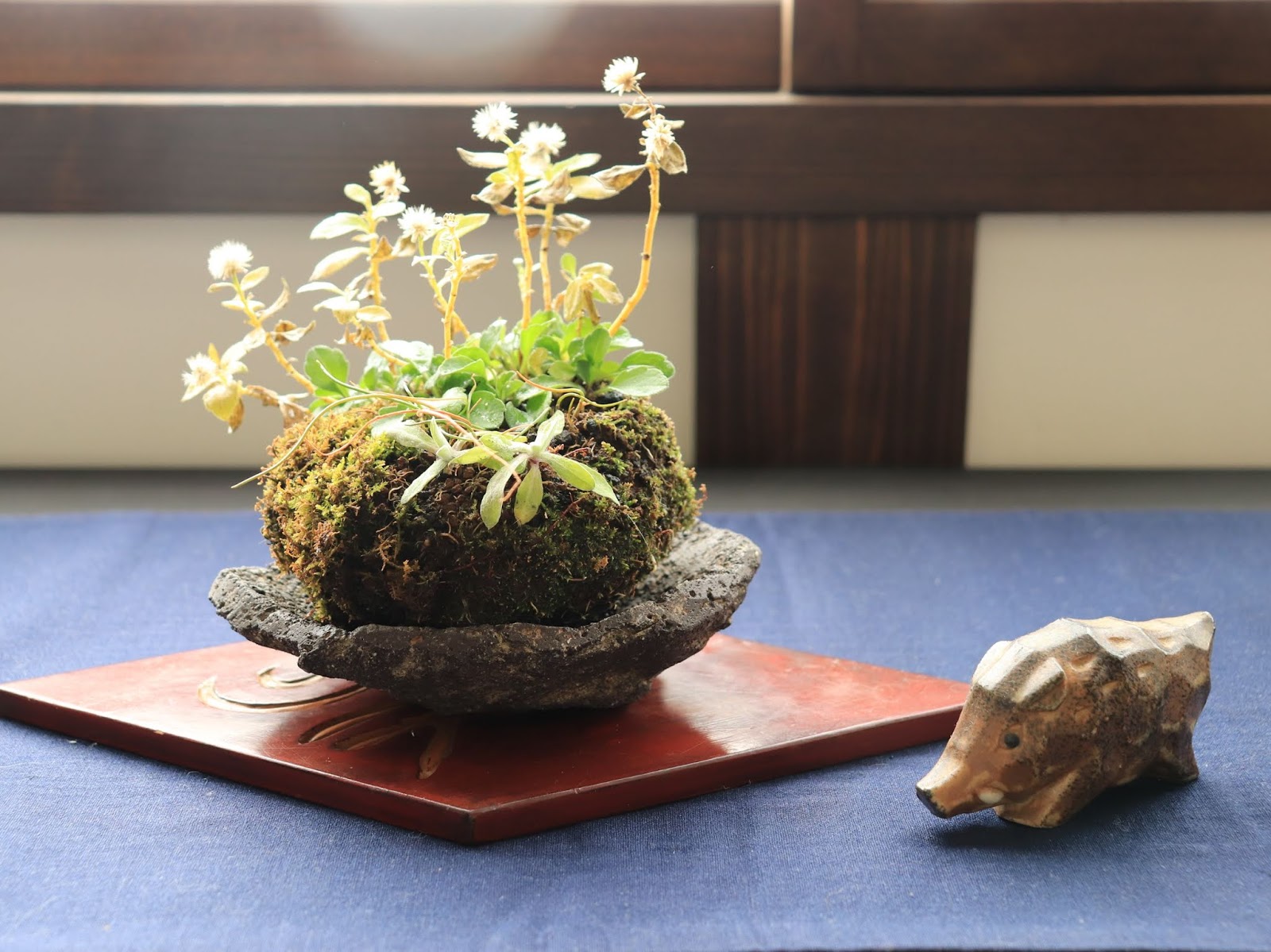 盆栽鉢 桑津香石 絵鉢 大きめ長方形 鳥 松 小品盆栽 盆栽鉢桑津香石絵