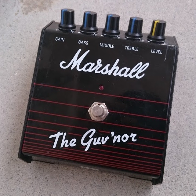 サバイバルくん、進捗どう？: Marshall / The Guv'nor