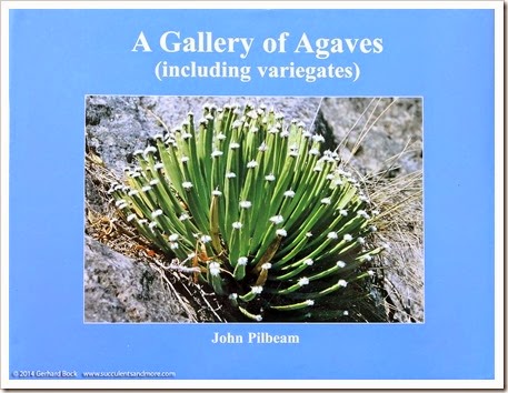 Four books on agaves