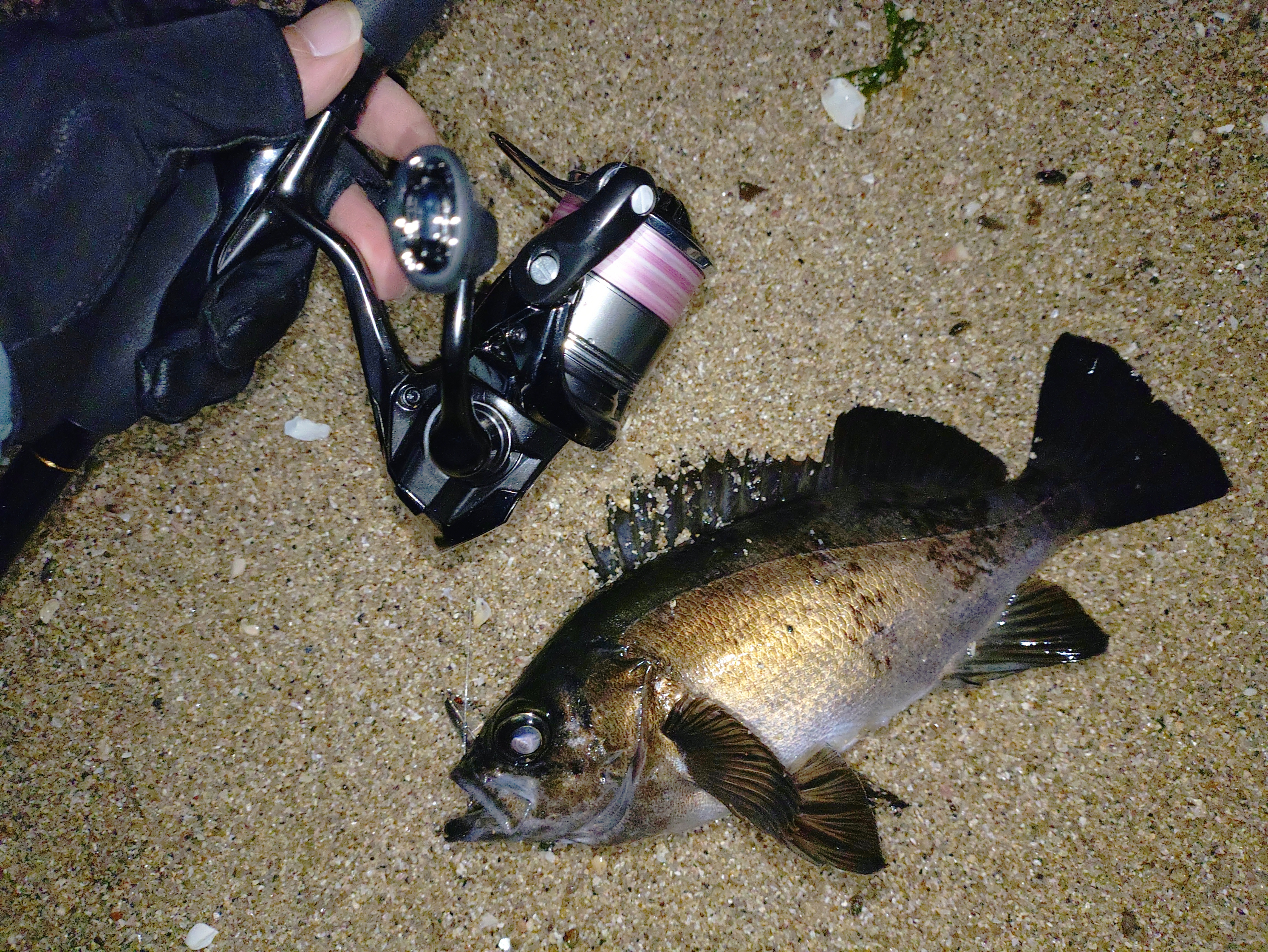 絶妙スペックで予想以上に活躍シーンは広い！ヤマガブランクス ブルー