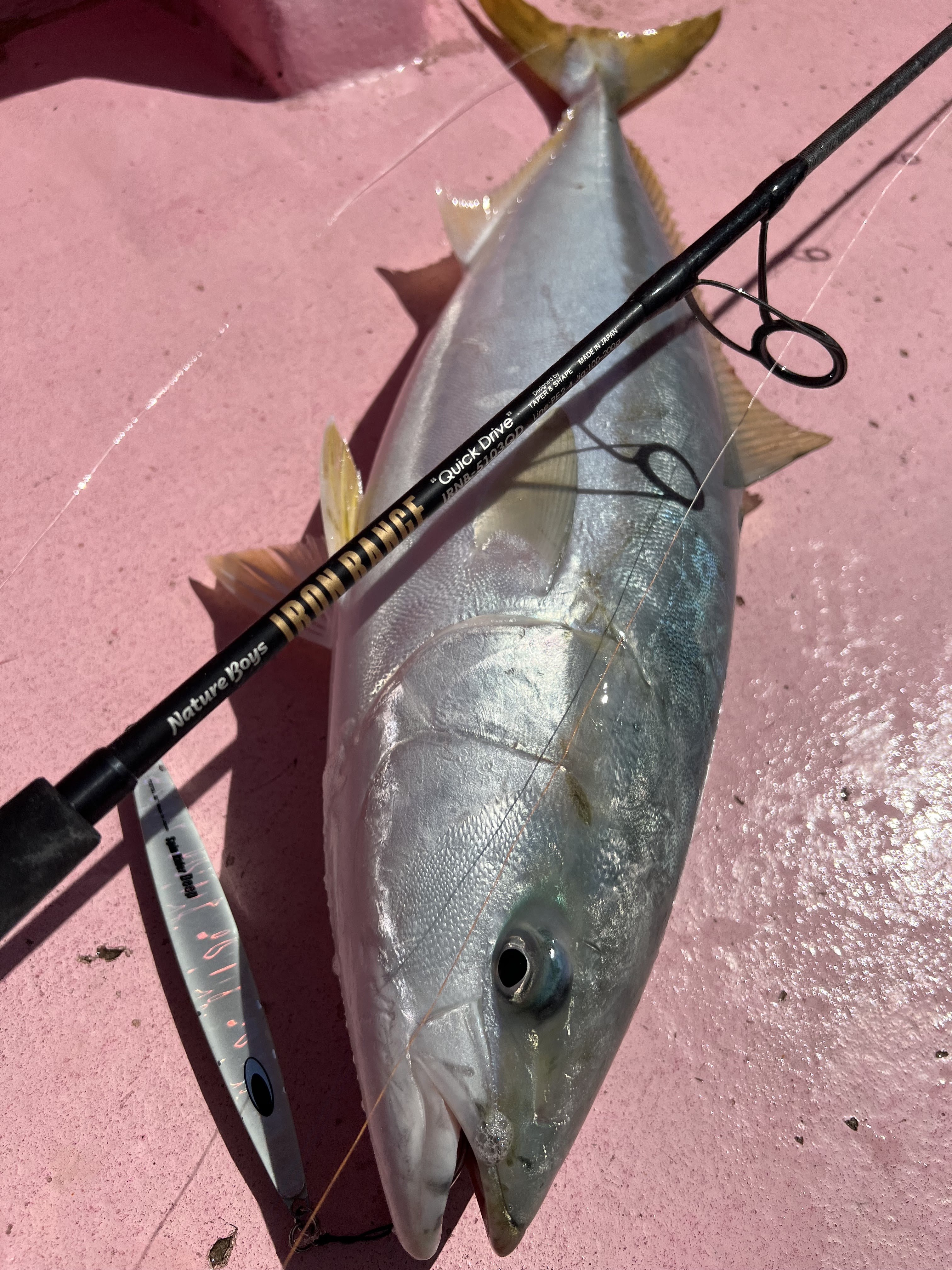 ANGLING 原画 オリジナル 一点もの ANGLING 原画 オリジナル 一点もの