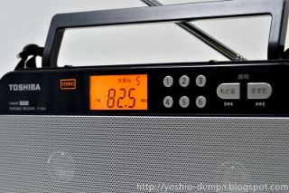 よしおのデムパな日: 東芝エルイー TY-SR55ミニレビュー