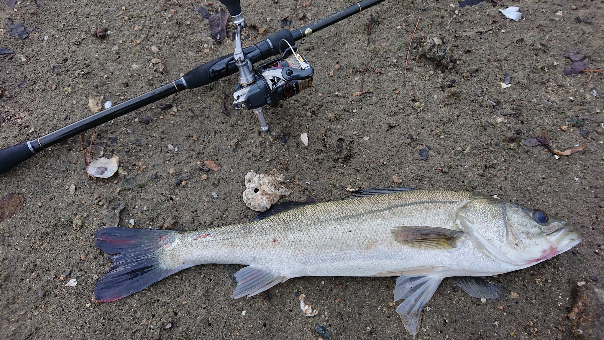 ヤマガブランクス ブルーカレント 93/TZ NANO All-Range の長期使用