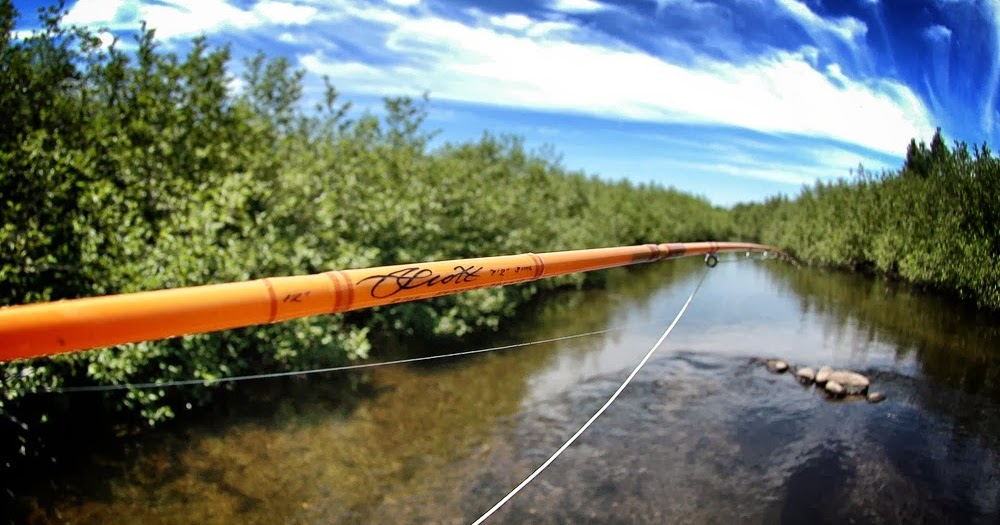 The Fiberglass Manifesto: The Scott F2 723/4 - 