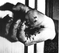 人生論的映画評論: アンダルシアの犬('29) ルイス・ブニュエル