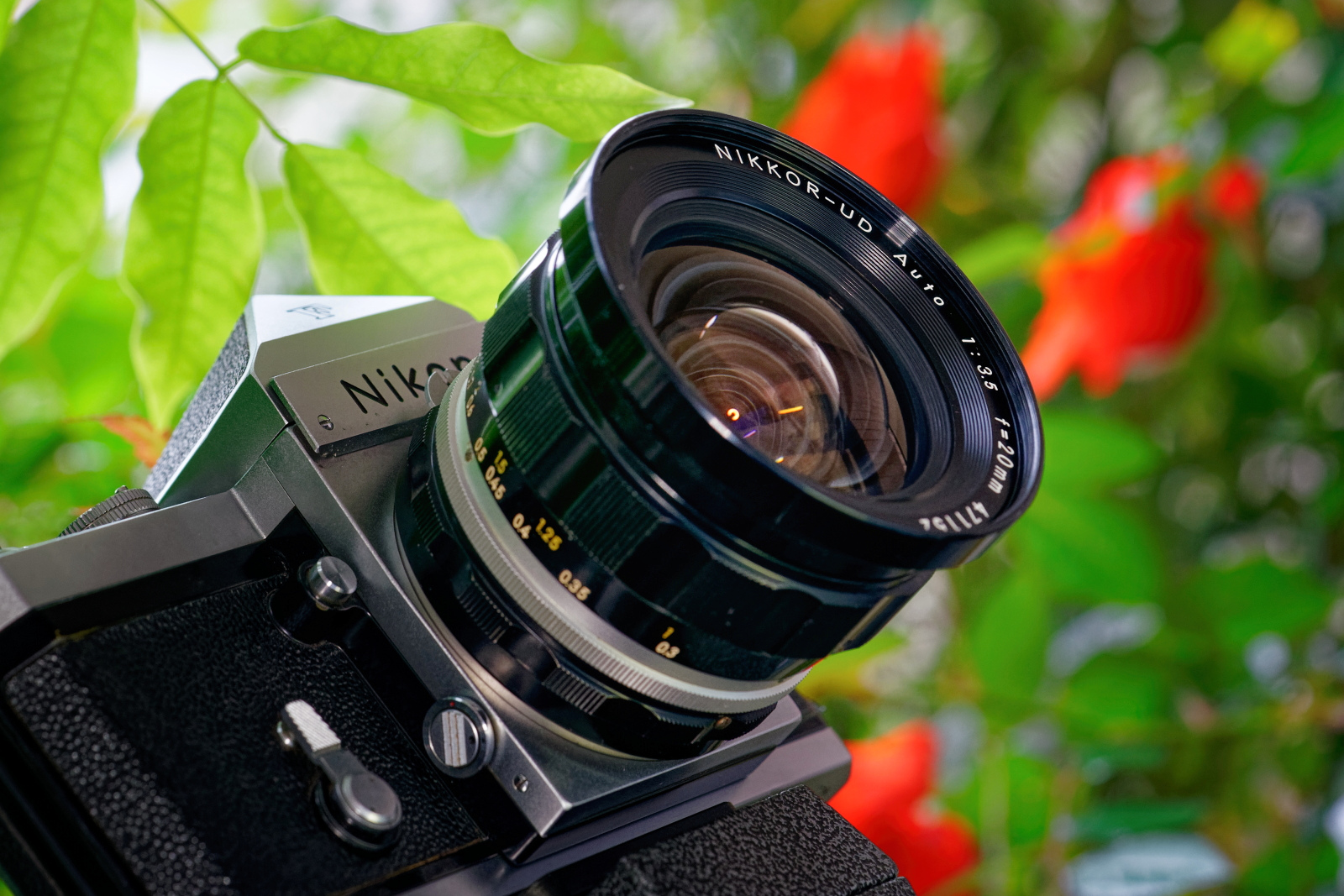 NIKKOR-UD Auto 20mm F3.5 - ニコンのオールド超広角レンズ | Photo of