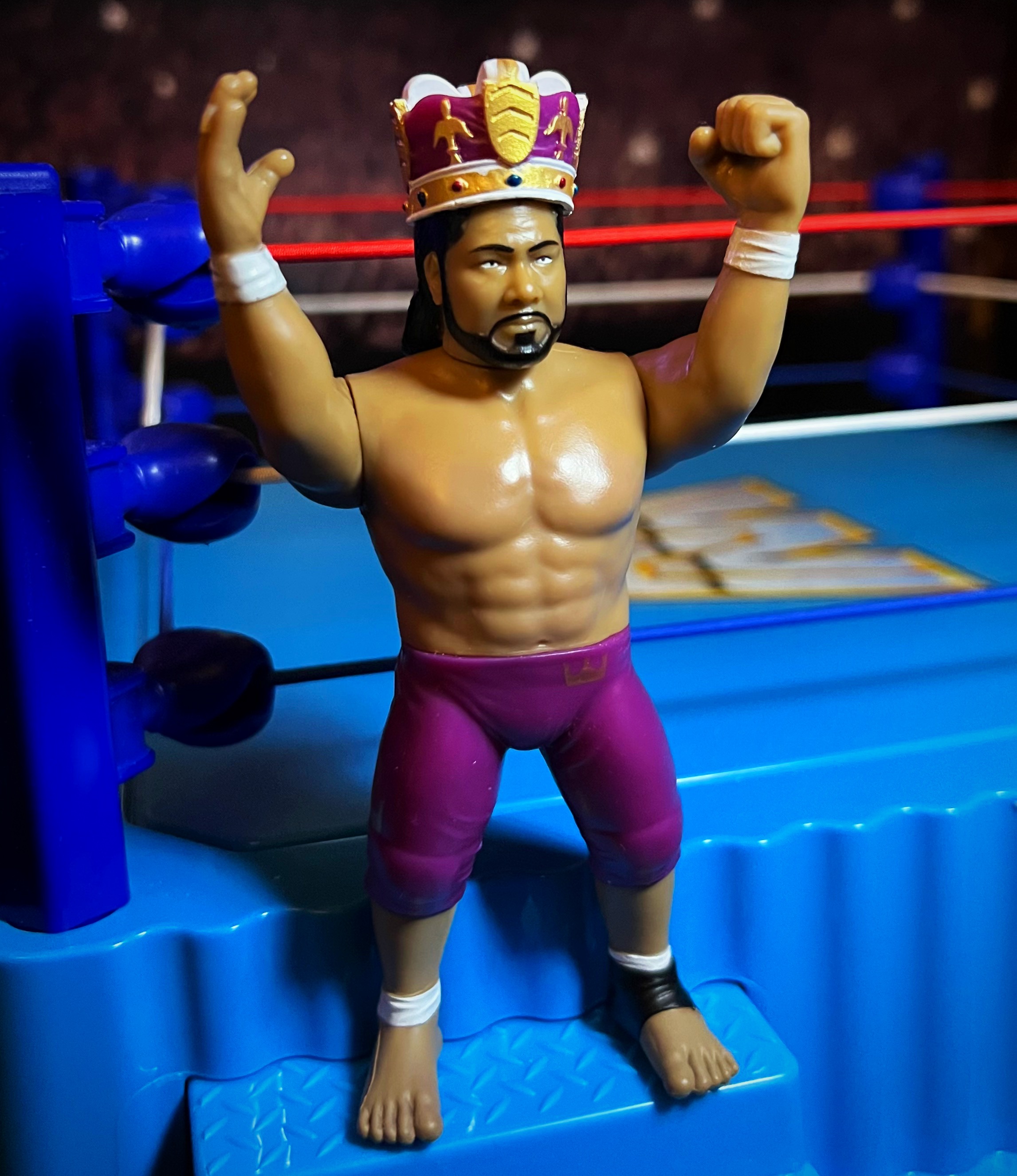 キング・ハク CHELLA TOYS ハスブロタイプ 新品未開封 キング・ハク