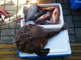 Hiroyuki's Blog on Japanese Cooking: 6.3-kg Monkfish (Angler Fish