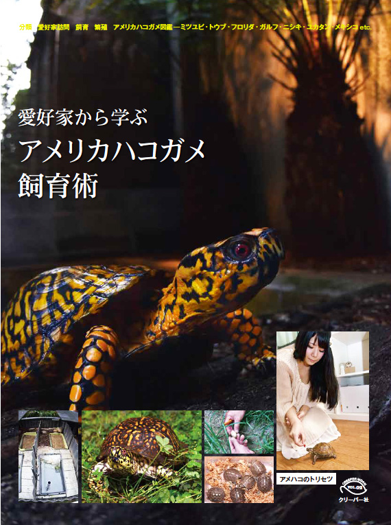 トップページ ~ クリーパー社のホームページ