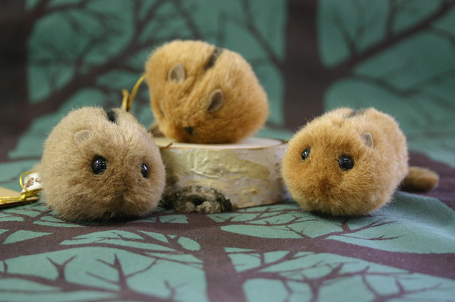 やまねの価格が変更になりました