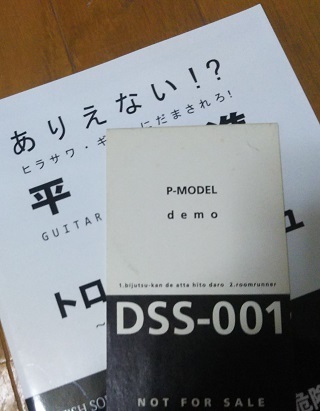 電子降る日記 I AM ONLY MY MODEL 星野 菫 平沢進/P-model