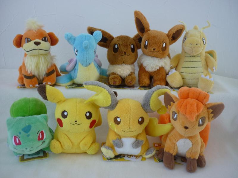 ポケモンキャンバスぬいぐるみ☆ブースターガーディライチュウ