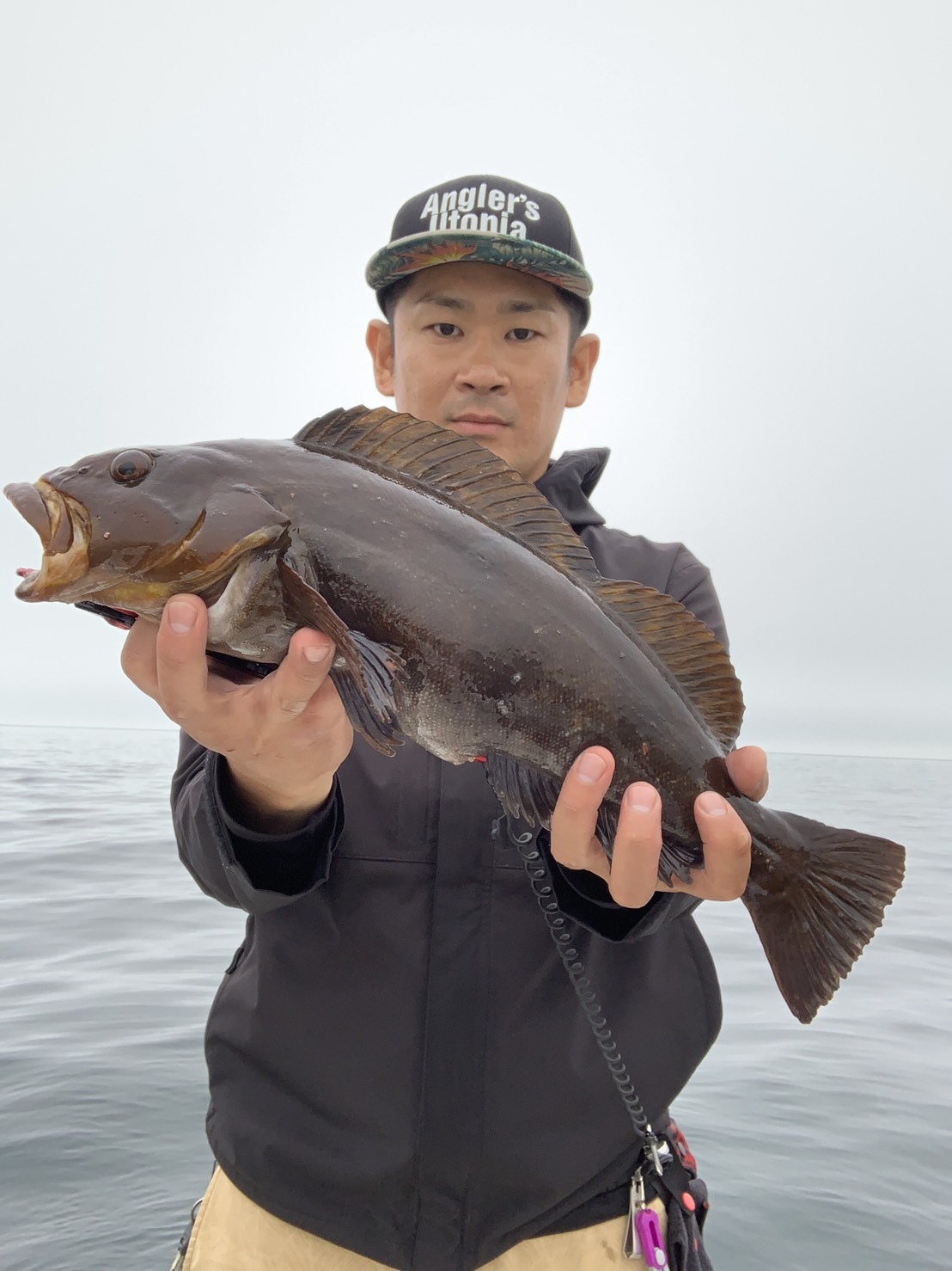 アピアスタッフブログ】 アンバサダーが綴るNEW Brute'HR