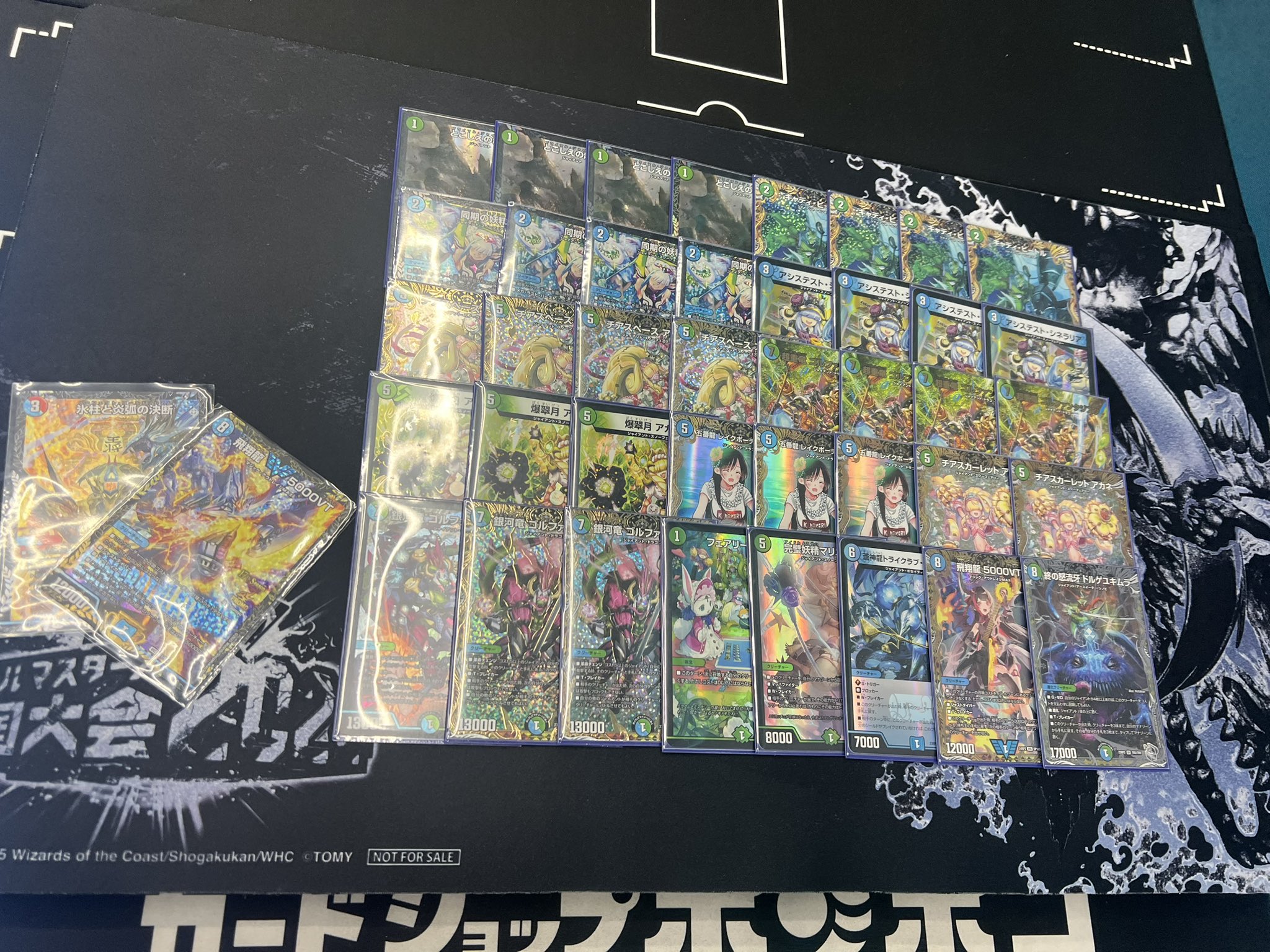 デュエマ オリジナルCS】「二本槍CSinポンポコ(2025/4/9)」結果 青緑