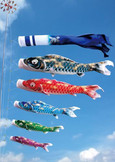 鯉のぼり 金彩の輝き 光輝（こうき） - 雛人形・五月人形・鎧・兜