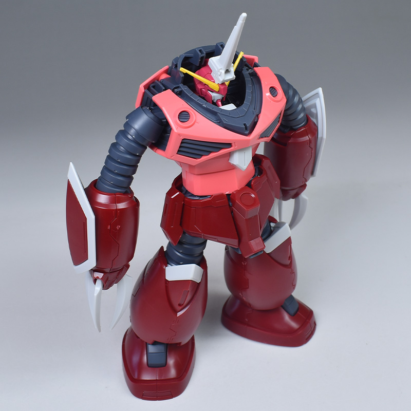 HG ズゴックSEED FREEDOM Ver. & GUNPLA15 セット HG 1/144 Z'Gok