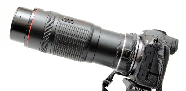 Canon EF100-300mm F5.6L レビュー - 我がカメラこそ我が意志