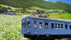 クモハ73＋クハ79全金富山港線タイプ（GMキット組立） - 信濃の国から