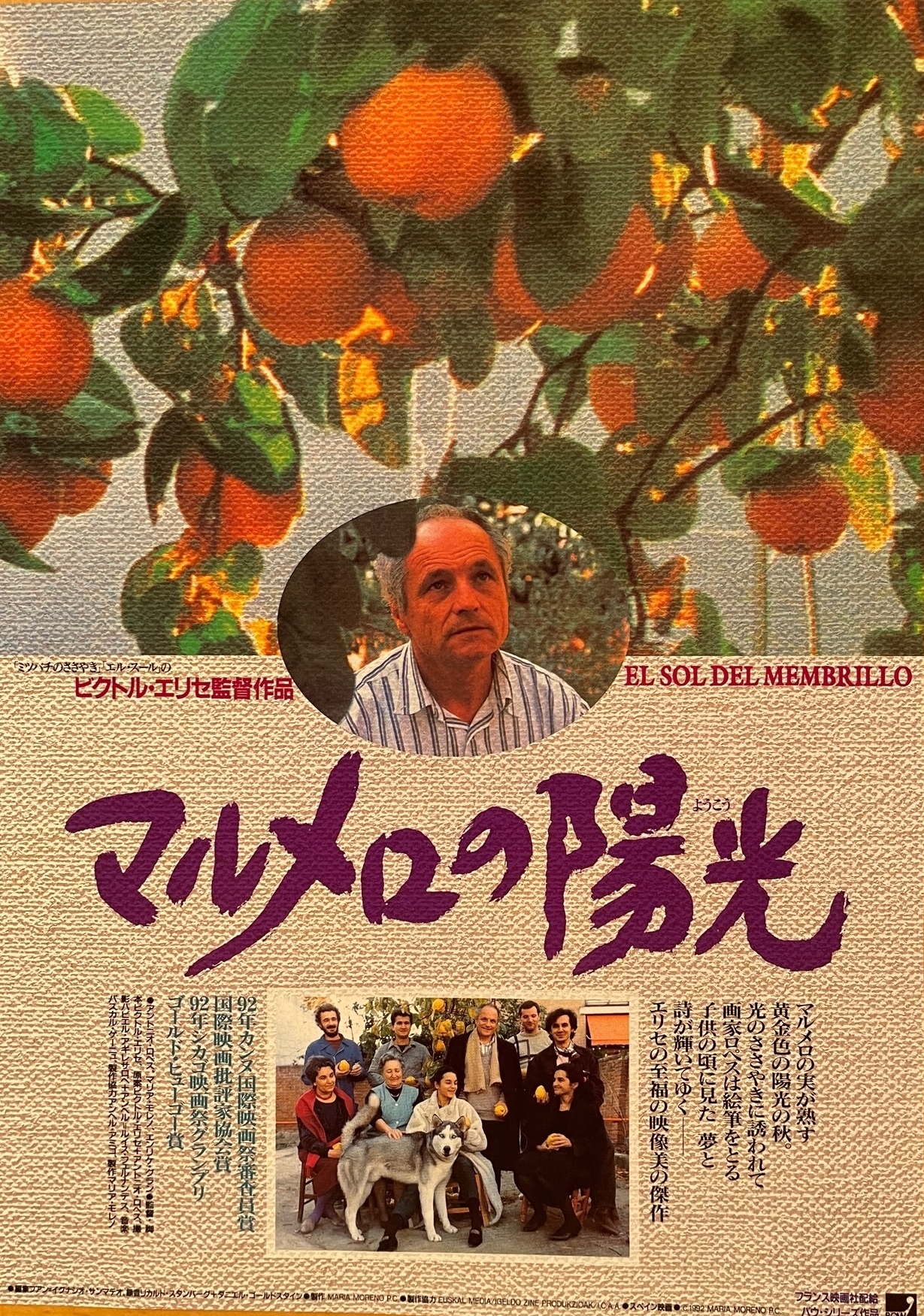 映画「マルメロの陽光」 ゆったりと流れる至福の時間。 | チーじぃ日記