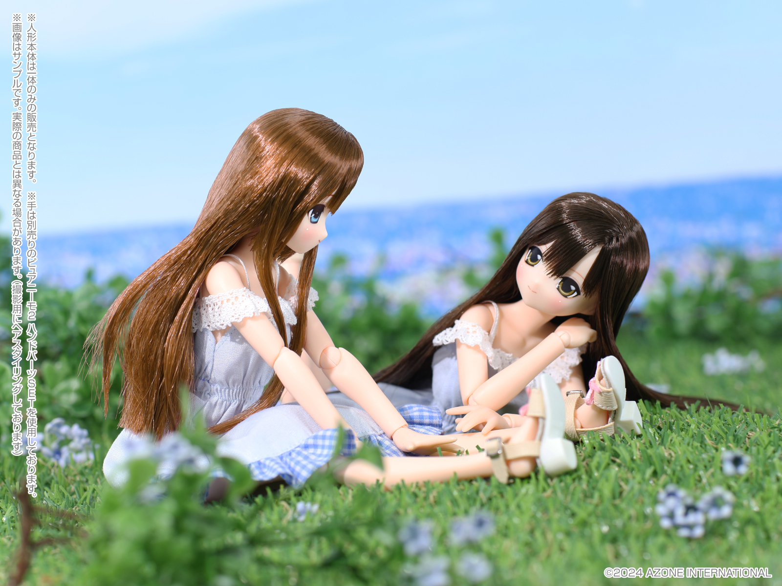 一般抽選受付】サアラズ ア・モード「MAYA(マヤ)/Sweet Days