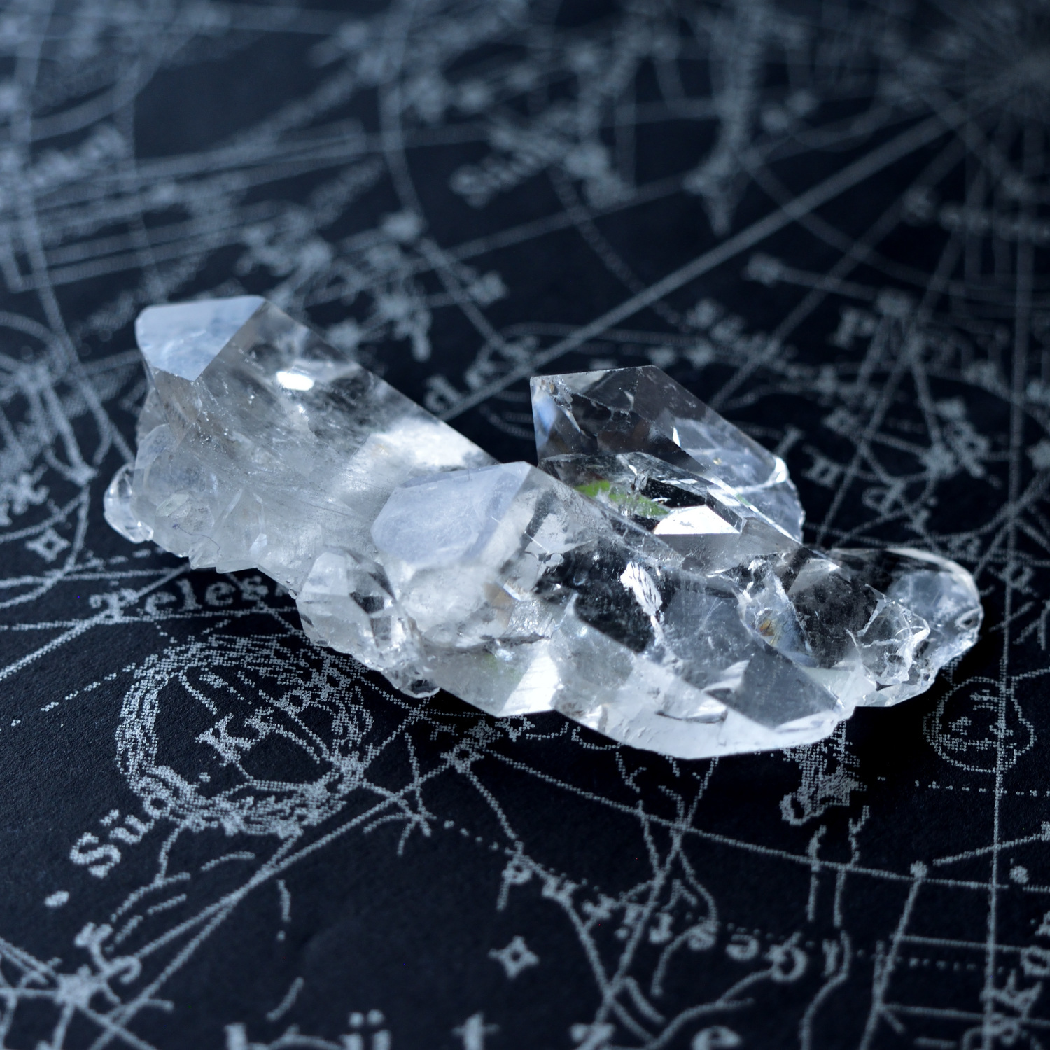 ゼカジソウザ・クォーツ Starbrary Seed Zeca de Souza セルフヒールド