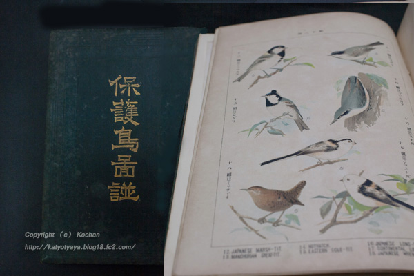 鳥類、野鳥図鑑の歴史 | 花鳥茶屋@BLOG
