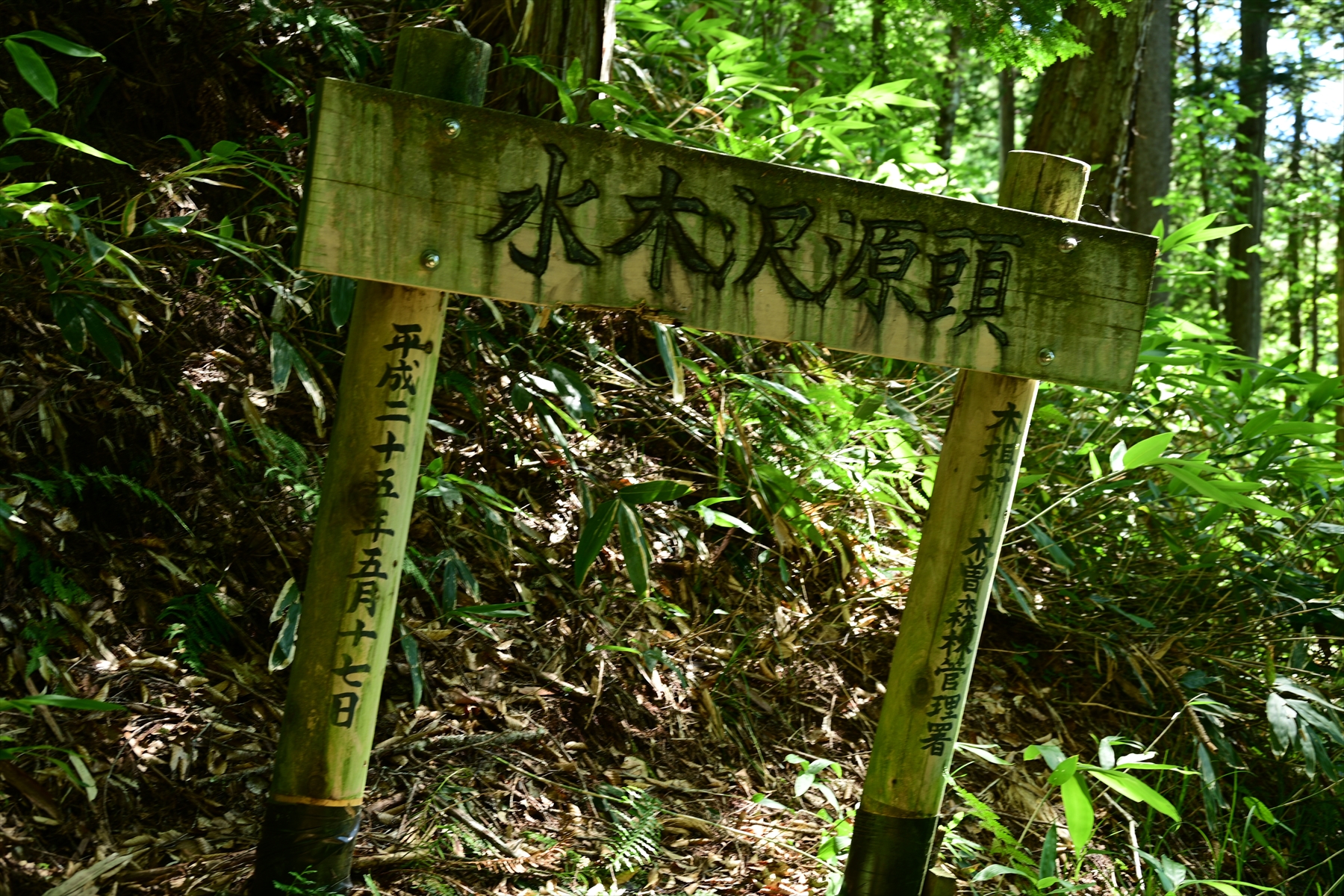 水木沢天然林「床並の滝」「源頭の森コース」で森林浴 | 是より木曽路