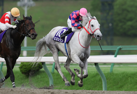 岩手競馬のレース・イベント情報 テシオブログ｜地方競馬ならオッズ