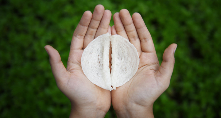 コタキナバル観光ブログ : マレーシア産純度100％のツバメの巣 販売