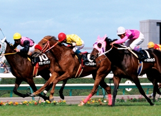 JRA育成馬日誌 : ダービー馬ウオッカを産んだJRA育成馬（事務局）