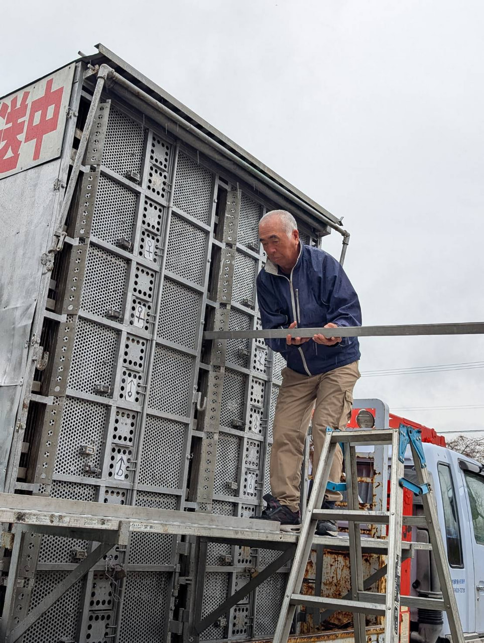 2025年度 伊賀国際チャンピオン1000K」開催！ - 一般社団法人 日本鳩