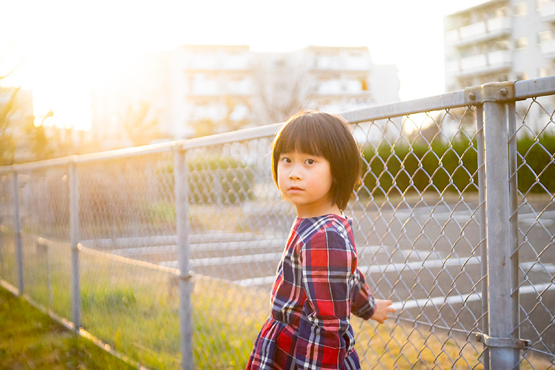 オールドレンズ探訪記] Carl Zeiss Jena Tessar 50mm F2.8で