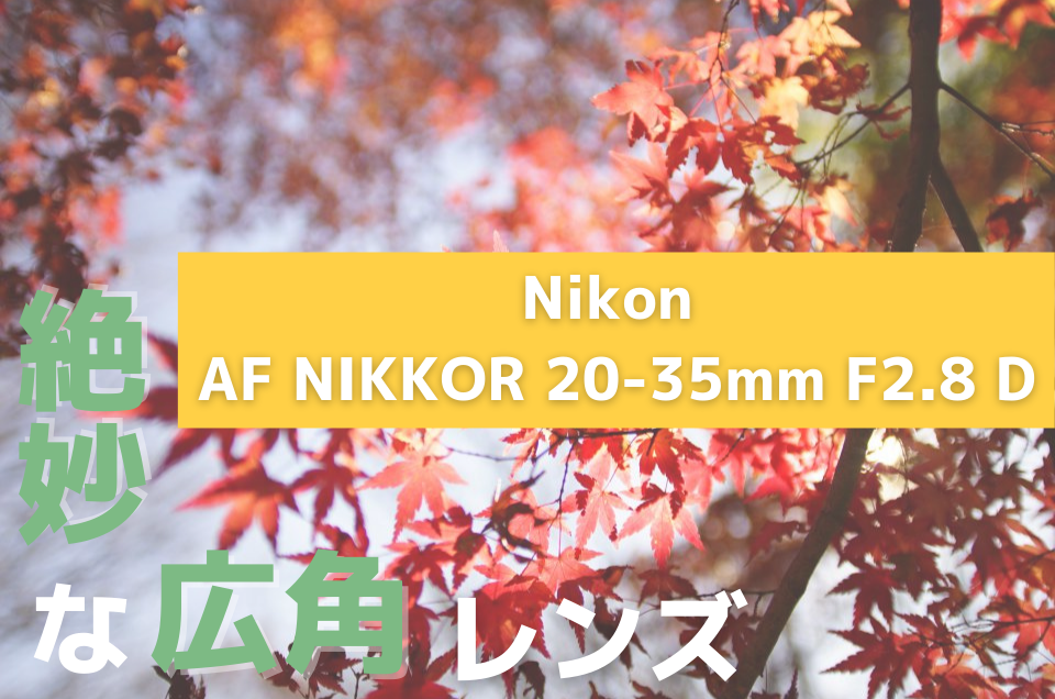 オールドレンズ探訪記] Nikon AF NIKKOR 20-35mm F2.8DのAFと広角で