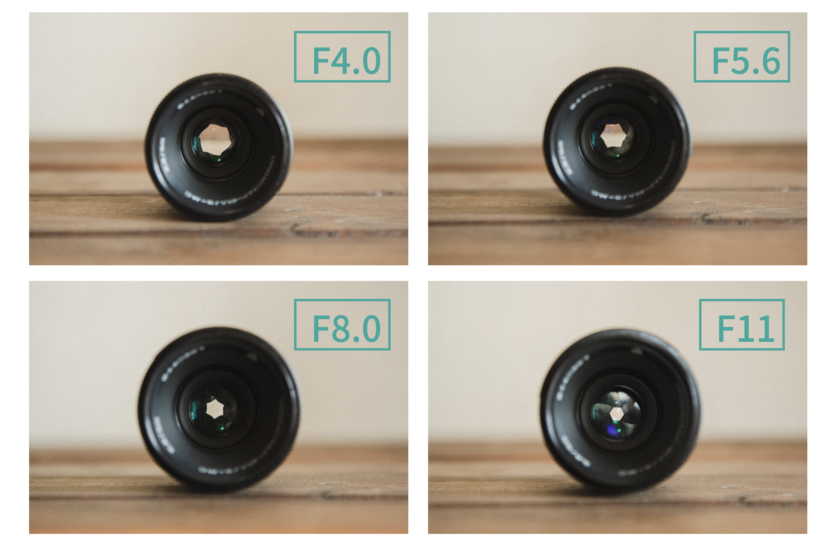 星ボケを楽しめる人気ロシア製レンズ！Industar-61L/Z 50mm F2.8