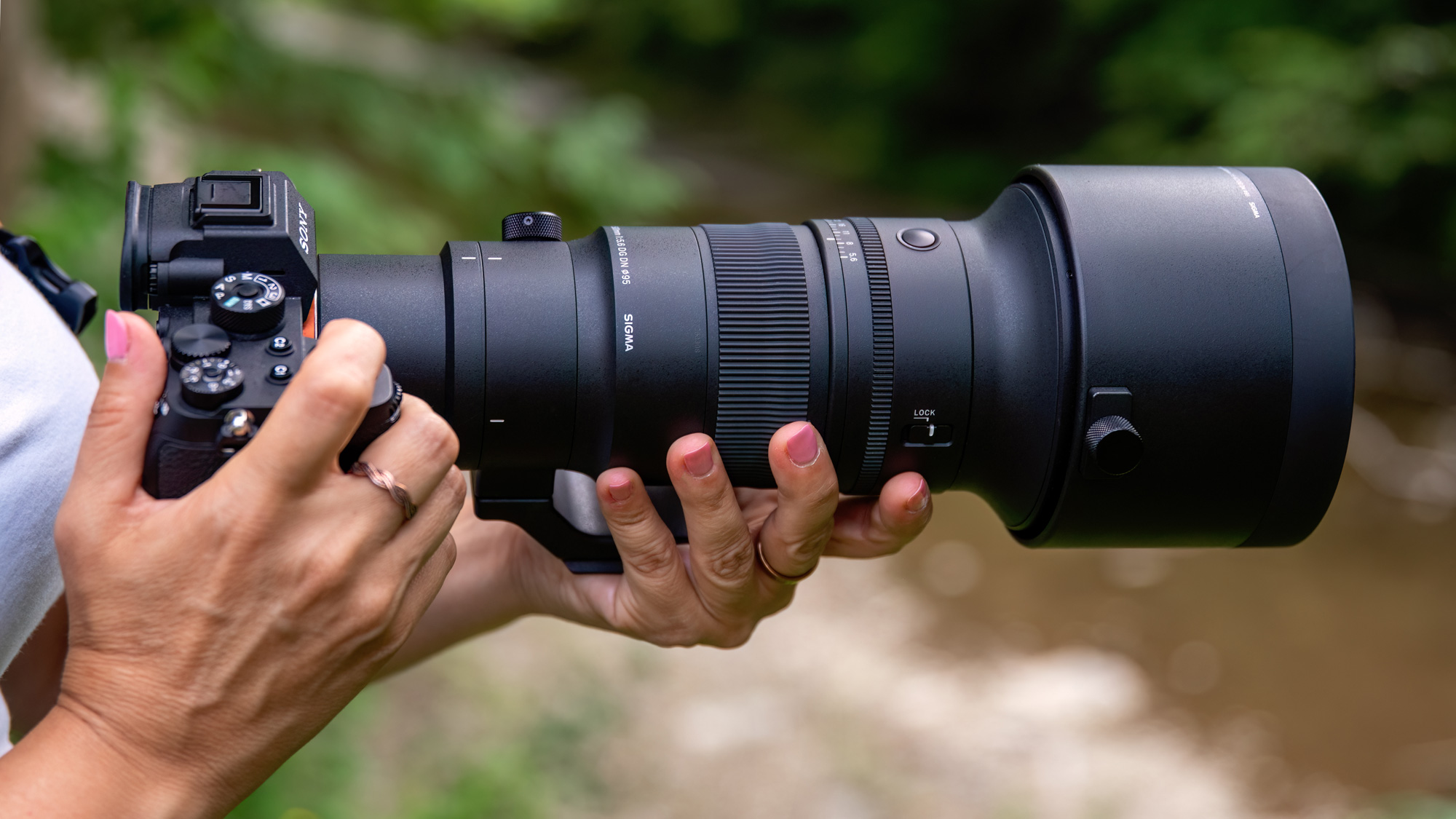 Wild Things Within Reach: SIGMA 500mm F5.6 DG DN OS Sports Lens