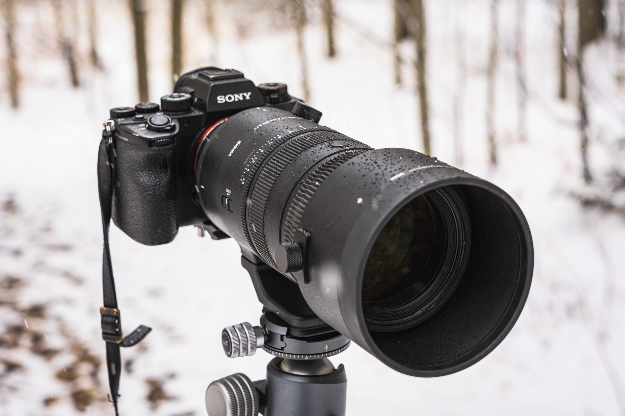 First Look: SIGMA 70-200mm F2.8 DG DN OS Sports Lens for Sony E