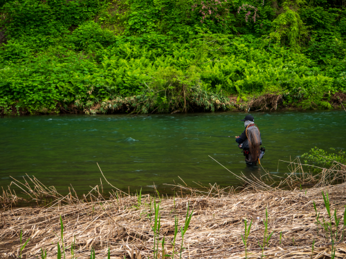 Rayz Spectra RZS712S-ML (Jerkin' MS Custom) | TENRYU｜天龍 釣具