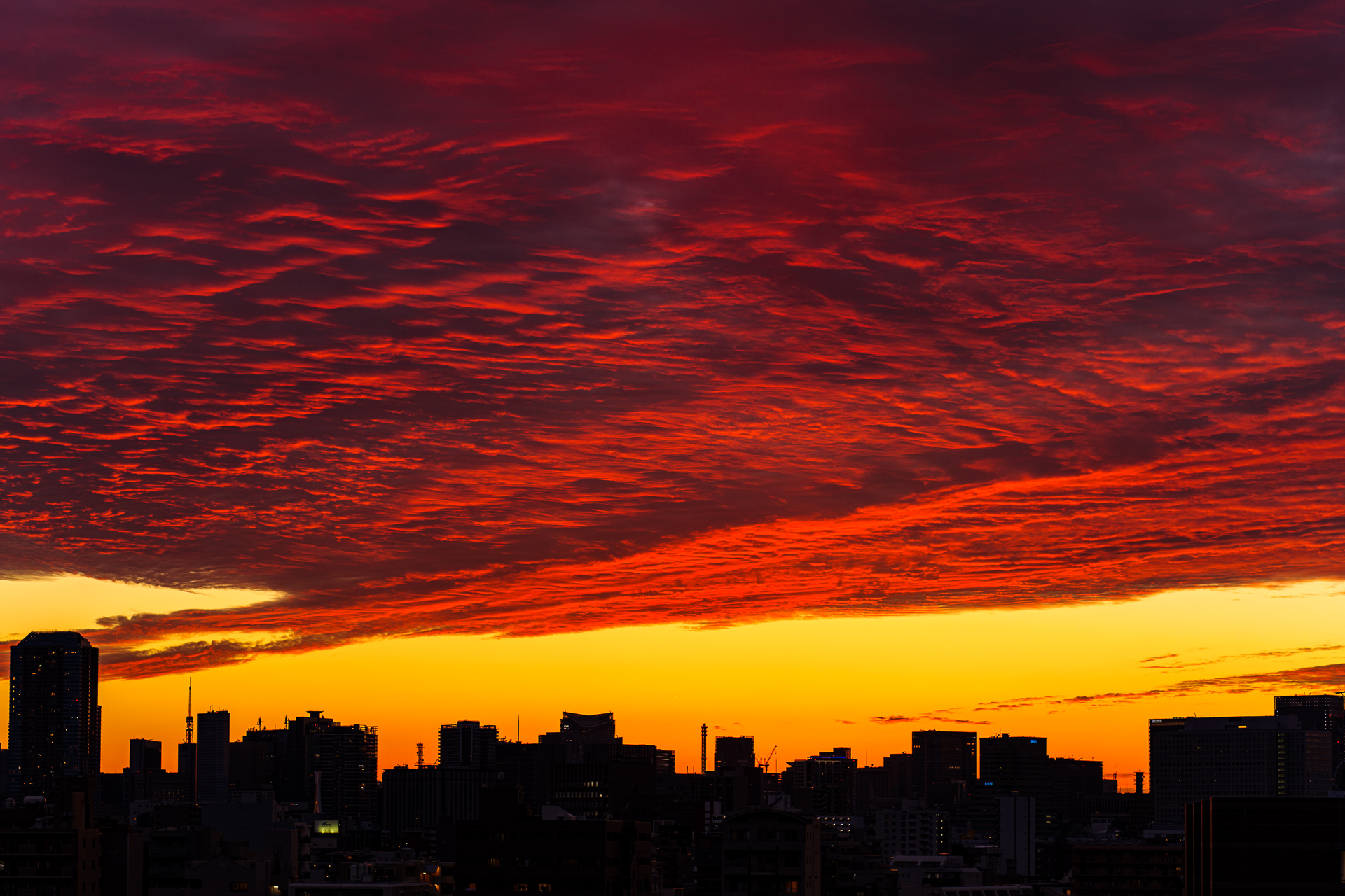 秋の雲が真っ赤に染まる夕焼け空がとても綺麗だったから… – 酔人日月抄外伝
