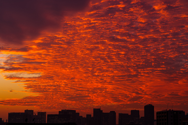 秋の雲が真っ赤に染まる夕焼け空がとても綺麗だったから… – 酔人日月抄外伝